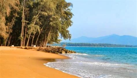Best Beaches In Karwar March 2024 Ultimate Travel Guide