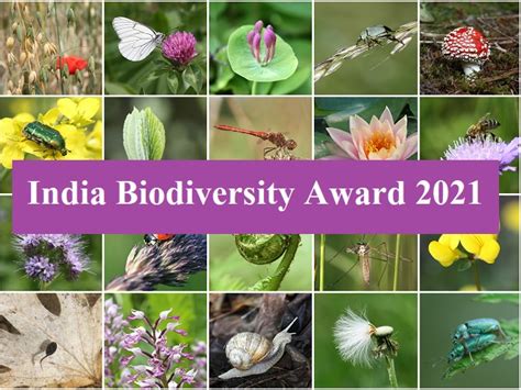 India Biodiversity Award 2021 Winners Categories Eligibility