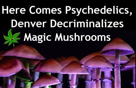 Here Come The Psychedelics Denver Decriminalizes Magic Mushrooms