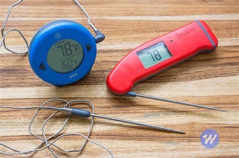 The Best Probe Thermometer Aivanet