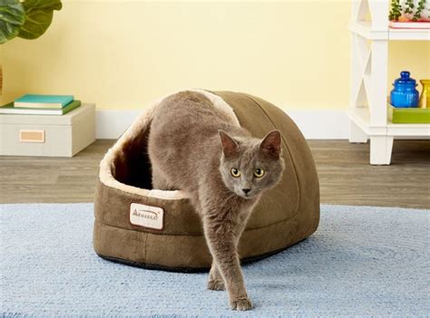 9 Best Covered And Enclosed Cat Beds In 2023 Reviews And Top Picks Hepper