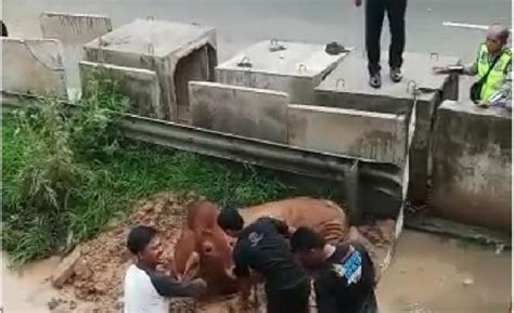 Kumpulan Berita Terkini Bekasi Utara