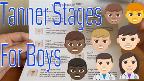 The Tanner Stages Boy Youtube