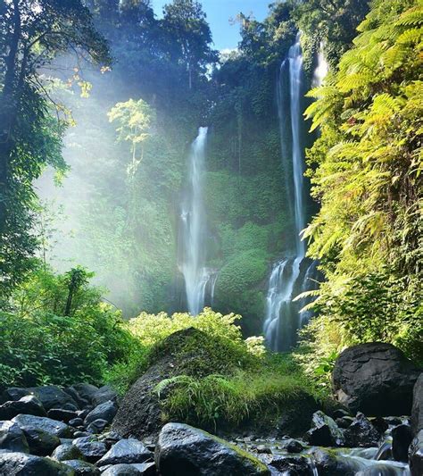 15 Best Tropical Waterfalls In The World Bali Waterfalls Waterfall