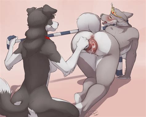 Rule 34 2015 All Fours Anthro Anus Blush Border Collie