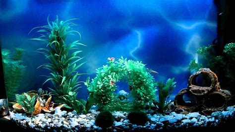 Aquarium Fish Tank Wallpapers Top Free Aquarium Fish Tank Backgrounds