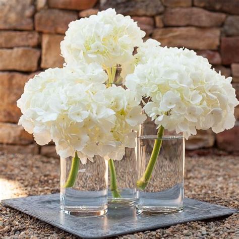 Simply Lush Hydrangea Centerpiece Single Hydrangea Centerpiece Hydrangeas Wedding Flower