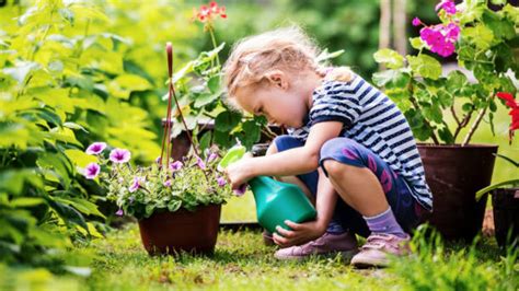 Cómo Organizar El Jardín Para Los Niños Y Que Lo Disfruten