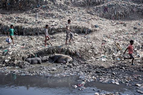 10 Most Polluted Rivers In The World Dailypedia