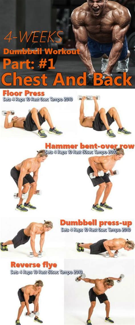 You can read about the best tricep workouts with dumbbells for women to know all the details. Pin on Exercises