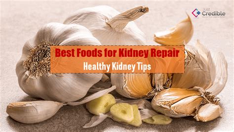 15 Best Foods For Kidney Repair Healthy Kidney Tips Just Credible