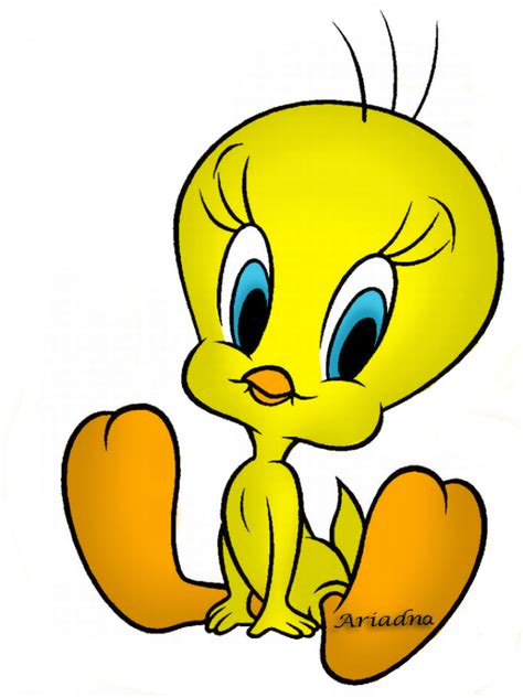 Looney Tunes Tweety Bird Tweety Bird Drawing Clipart Full Size Clipart 1363694 Pinclipart