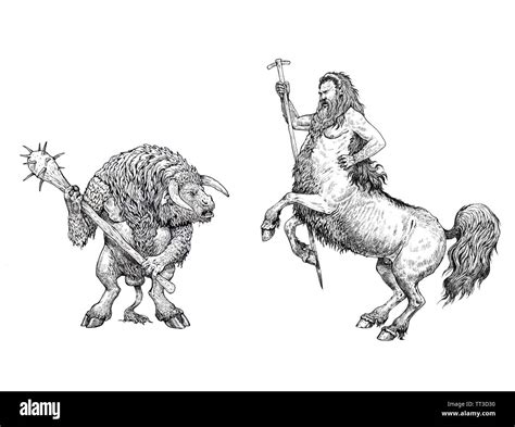 Centaurus And Minotaur Anatomy Comparison Monster Illustration