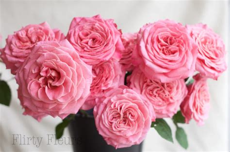 Alexandra Garden Roses Flirty Fleurs The Florist Blog Inspiration
