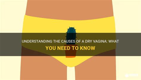 Understanding The Causes Of A Dry Vagina What You Need To Know Medshun