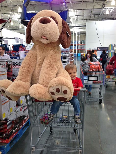 Boost your brand awareness with these adorable plush puppies! April 2013 | Teddy bear, Cuddling, Dogs