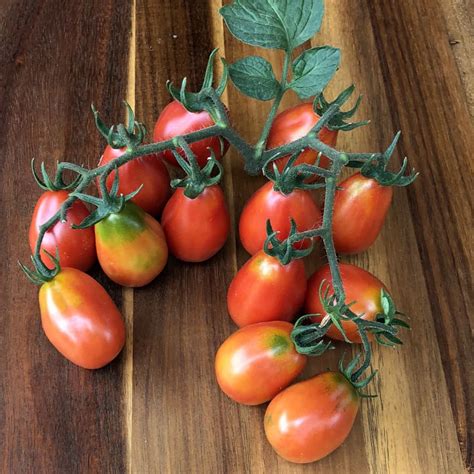 Seeds For Napoli Tomato Solanum Lycopersicum Amkha Seed