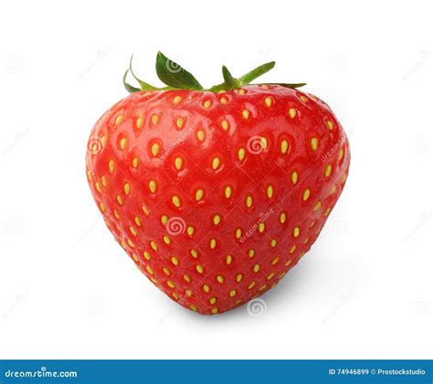 Fresh Ripe Strawberry Closeup Isolated On White Background Stock Image