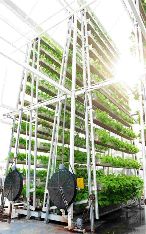 What is it and what are the benefits of establishing the vertical farm? Vertical Farming vs. Farming Vertically