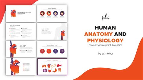 Anatomy And Physiology Themed Powerpoint Template Gbsining Youtube