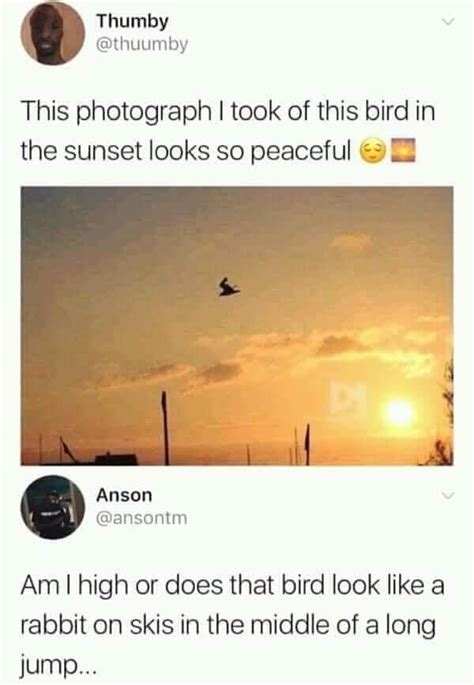 Sunsets Are Peaceful Crazy Funny Memes Really Funny Memes Stupid