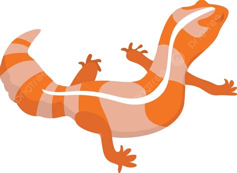 Orange Lizardillustrationvector On White Background Character Tail