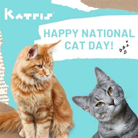 Happy National Cat Day Celebrate This Day By Getting Your Cat A New