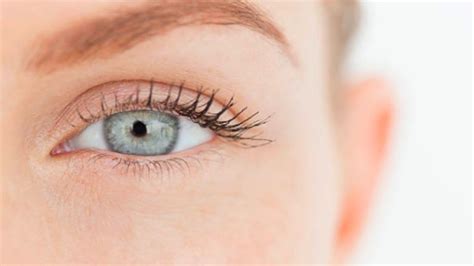 Los Cinco Datos Que Debes Saber Sobre Los Ojos Azules ¡spoiler En