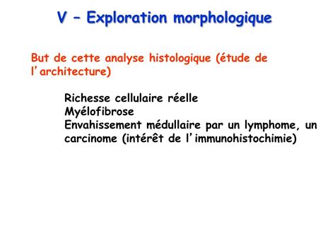 Ppt La Moelle Osseuse Hematopoietique Powerpoint Presentation Free