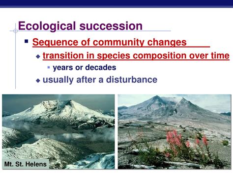 Ppt Ecological Succession Powerpoint Presentation Free Download Id