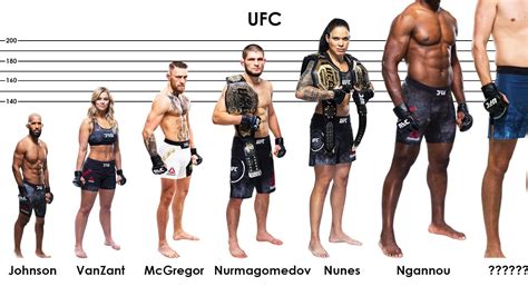 Top Ufc Mma Fighters Height Comparison Youtube
