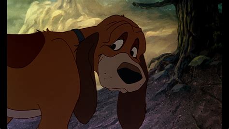 Todd Copper Vixey And Big Mama The Fox And The Hound The Fox And The Hound Photo