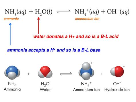 Ppt Chapter 19 Acids Bases And Salts Powerpoint Presentation Free