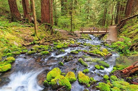 Usa Washington State Olympic National Park View Of Sol Duc