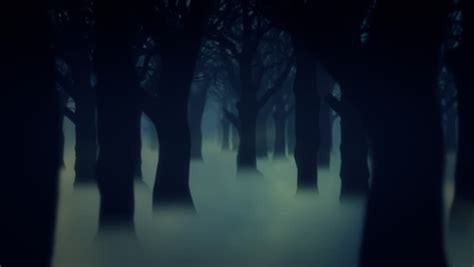 Spooky Full Moon Shines Over Dark Tree In Mist Hd 1080p Stock Footage
