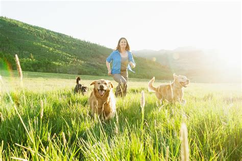 We speed up the process of helping you find a certified veterinarian at your fingertips. Vet Near Me | Park City, UT 84098 | Powder Paws Veterinary ...