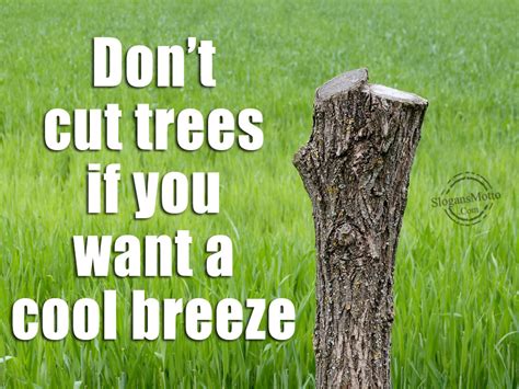 Slogans For Saving Trees
