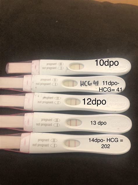FRER tests from 10dpo to 14 DPO with a couple of beta HCG numbers : r