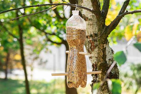 Recycle Drink Bottles Into Feeders Pack Bottle Top Hanging Bird Feeder Kit Garden Patio