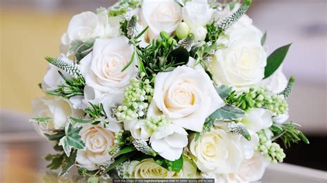 Beautiful White Roses Bouquet Hd Wallpaper For Your Pc Mac Or Mobile