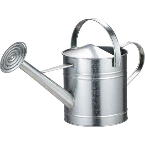 Martha stewart living vegetable and herb seeds are one hundred percent organic and $1.99 each at the home depot. Arcadia Garden Products 2 Gal. Chrome Watering Can-WC09 ...
