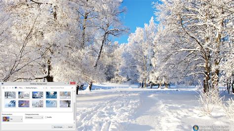 Winter Trees Windows 7 Theme Download
