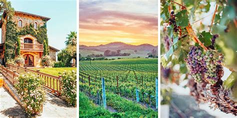 Easy Wine Country Vacations Discover The Best Vineyards And Homemade Wines