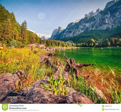 Sunny Summer Morning On The Gosau Lake Vorderer Gosausee With Stock