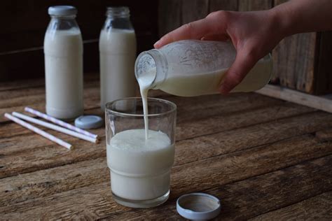 Probiotische Milchprodukte im Vergleich Buttermilch und Kefir