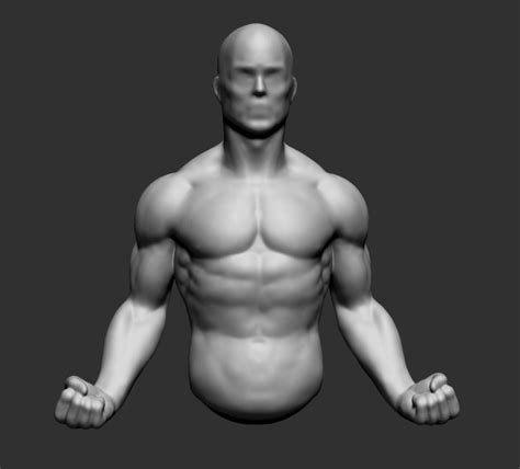 Human anatomy drawing drawing theory. 3D model Male Upper Body | CGTrader