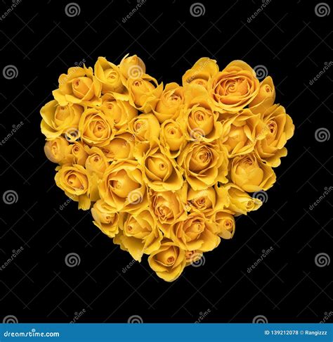 Heart Shape Made Of Yellow Roses Stock Photo Image Of Love Flower