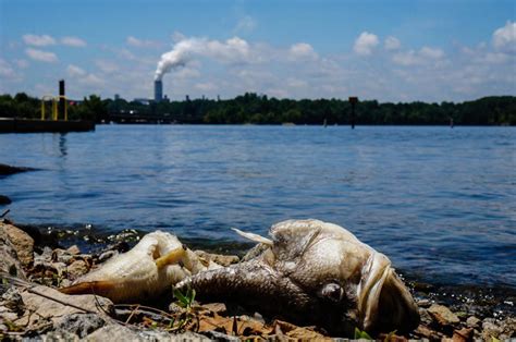 The greater distance food items have to travel to reach the consumer, the greater that transportation's impact is on the environment. Water-Pollution Rules for Power Plants Need an Update, Too ...