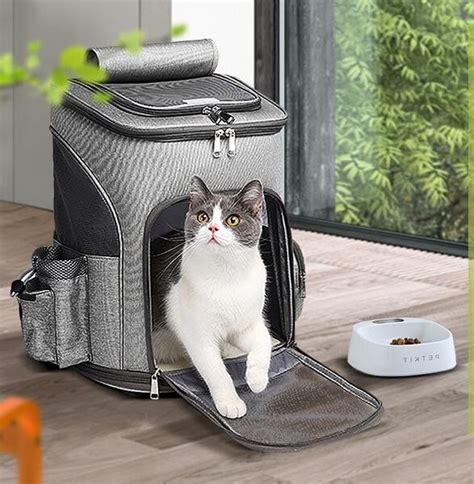Best Large Cat Carrier 2021 Purring Meow