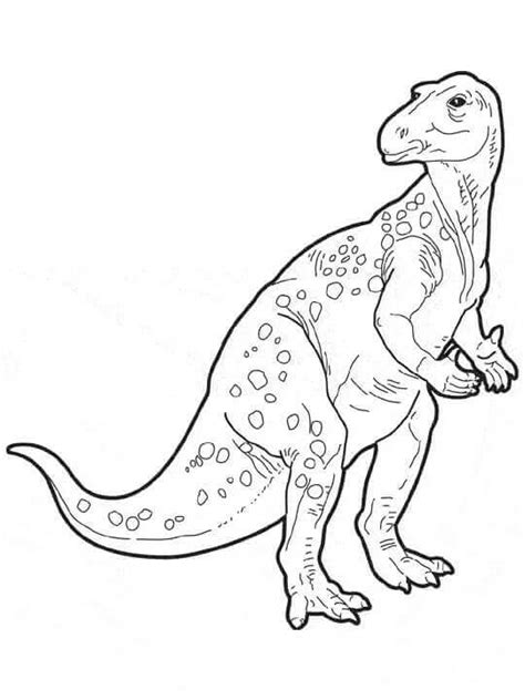 Download 35 Free Printable Dinosaur Coloring Pages - ScribbleFun